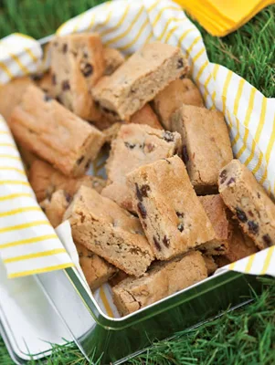 Paula Deen rum raisin blondies cut into squares and stacked in a metal tin lined with yellow striped fabric on grass